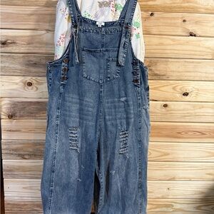 Easel Denim Overalls with Distressed Details